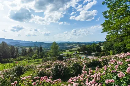 La Cinciallegra, Belle maison de vacances près de Cagli avec piscine - Photo 6