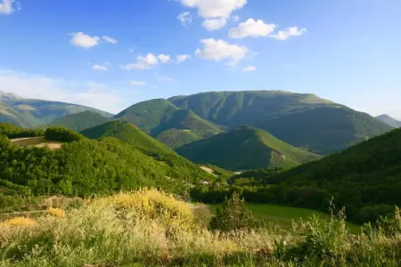 Mino, Ferme confortable à Cagli près de Hills - Photo 9