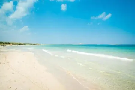 Il Tesoro, Charmant gîte au milieu des oliveraies de Cisternino - Photo 23