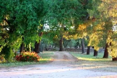 Il Tesoro, Charmant gîte au milieu des oliveraies de Cisternino - Photo 24