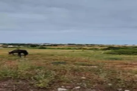 Il Tesoro, Charmant gîte au milieu des oliveraies de Cisternino - Photo 33