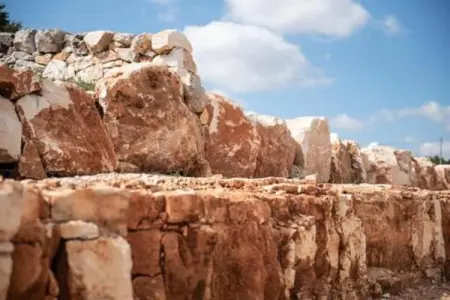 Il Tesoro, Charmant gîte au milieu des oliveraies de Cisternino - Photo 35