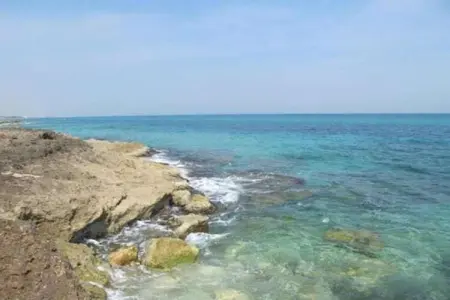 Il Tesoro, Charmant gîte au milieu des oliveraies de Cisternino - Photo 38