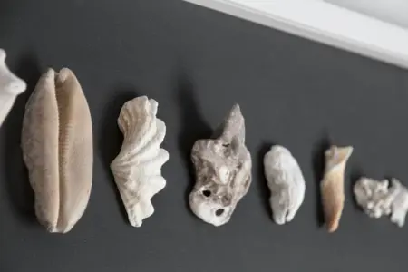 Quattro Colonne Uno con Piscina, Appartement moderne situé près de la mer dans le Salento - Photo 38