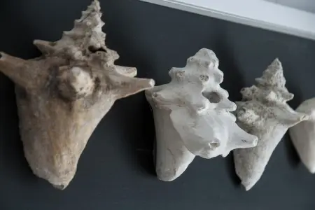 Quattro Colonne Uno con Piscina, Appartement moderne situé près de la mer dans le Salento - Photo 40