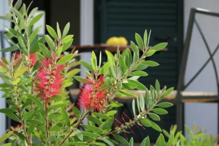 Quattro Colonne Tre, Maison de vacances cossue dans le Salento avec vue superbe - Photo 17