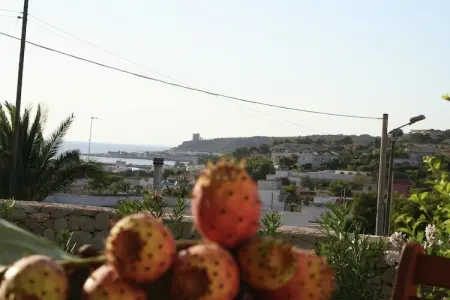 Quattro Colonne Tre, Maison de vacances cossue dans le Salento avec vue superbe - Photo 23