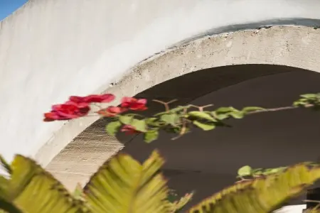 Quattro Colonne Tre, Maison de vacances cossue dans le Salento avec vue superbe - Photo 29