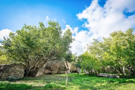 La Casina Della Quiete, Charmante maison de vacances près du centre-ville à Lecce - Photo 27