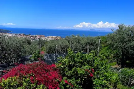 Giglio, Manoir boutique à Sorrento avec vue pittoresque - Photo 29