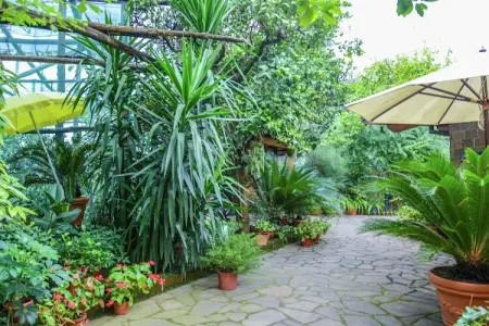 Edera, Magnifique manoir à Sorrento avec jardin - Photo 24