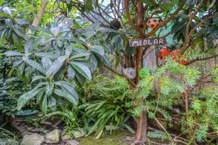 Edera, Magnifique manoir à Sorrento avec jardin - Photo 27