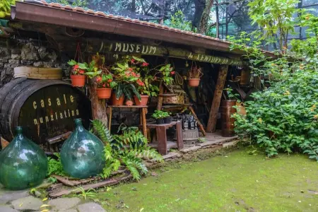 Edera, Magnifique manoir à Sorrento avec jardin - Photo 28