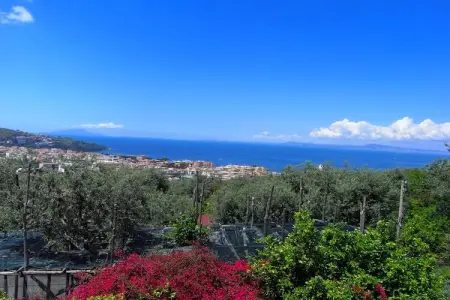 Edera, Magnifique manoir à Sorrento avec jardin - Photo 29