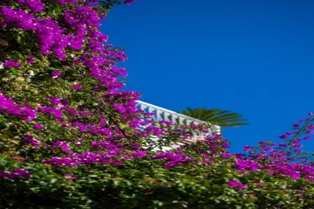 Arienzo, Magnifique maison de vacances avec vue sur la mer à Positano - Photo 4