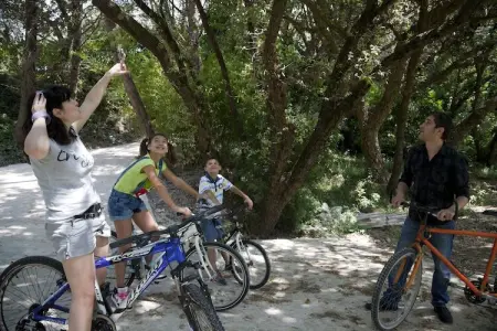 Casa Bambu, Studio de ferme en Calabre avec jardin et terrasse - Photo 14