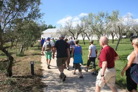 Casa Bambu, Studio de ferme en Calabre avec jardin et terrasse - Photo 17