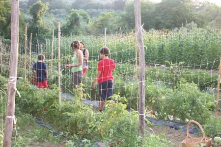Casa Bambu, Studio de ferme en Calabre avec jardin et terrasse - Photo 18