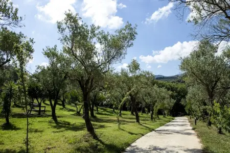 Casa Bambu, Studio de ferme en Calabre avec jardin et terrasse - Photo 19