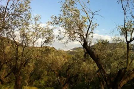 Casa Bambu, Studio de ferme en Calabre avec jardin et terrasse - Photo 25
