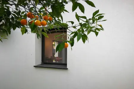 Casa Bambu, Studio de ferme en Calabre avec jardin et terrasse - Photo 28