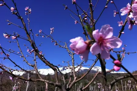 Viagrande, Une maison de vacances moderne et luxueuse en Sicile - Photo 28