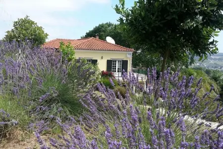 Casa do Coqueiro, Belle villa située à Óbidos, Lisbonne avec grand jardin - Photo 31
