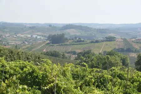 Casa do Coqueiro, Belle villa située à Óbidos, Lisbonne avec grand jardin - Photo 35