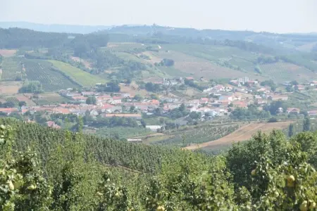 Casa do Coqueiro, Belle villa située à Óbidos, Lisbonne avec grand jardin - Photo 36