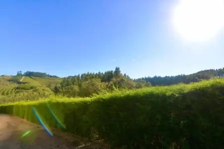 Casa do Coqueiro, Belle villa située à Óbidos, Lisbonne avec grand jardin - Photo 37