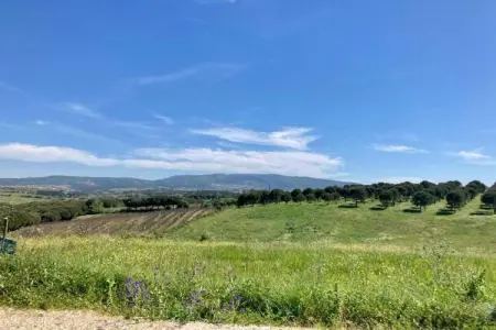 Casa do Coqueiro, Belle villa située à Óbidos, Lisbonne avec grand jardin - Photo 38