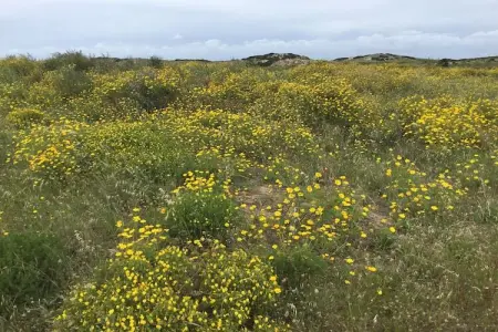 Casa Rozie, Maison de vacances moderne à Famalicão Nazaré avec piscine - Photo 30
