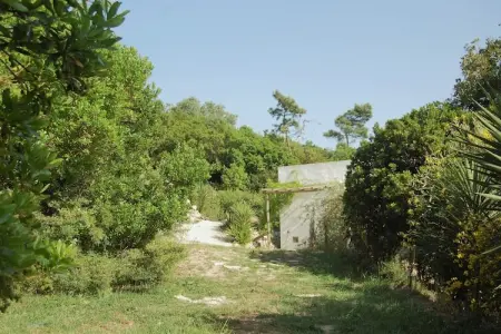 Alto da Maceira, Belle villa, piscine et jardin privés à Alcobaça, Lisbonne - Photo 32