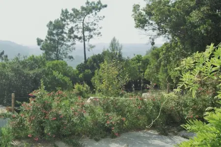 Alto da Maceira, Belle villa, piscine et jardin privés à Alcobaça, Lisbonne - Photo 33