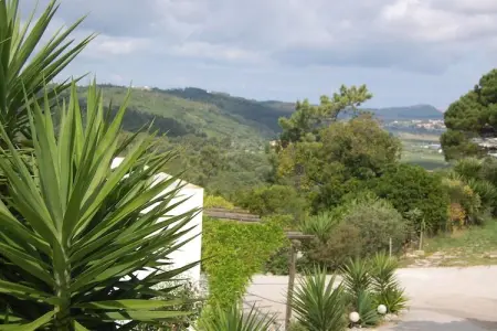 Alto da Maceira, Belle villa, piscine et jardin privés à Alcobaça, Lisbonne - Photo 35