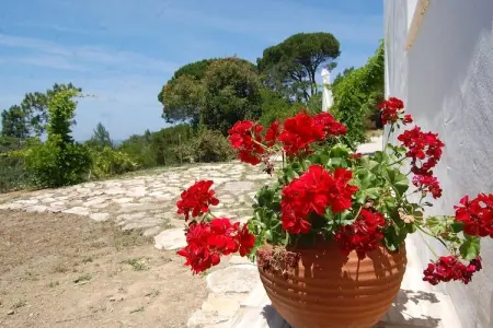 Alto da Maceira, Belle villa, piscine et jardin privés à Alcobaça, Lisbonne - Photo 39