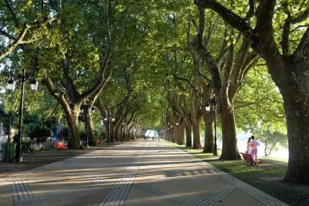 Casa Alpendre, Demeure chic avec piscine à Ponte de Lima - Photo 18