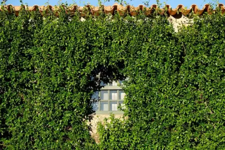 Casa Alpendre, Demeure chic avec piscine à Ponte de Lima - Photo 30