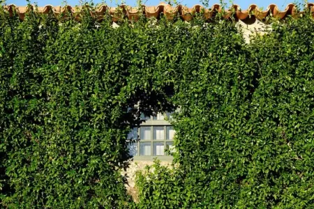 Casa Alpendre, Demeure chic avec piscine à Ponte de Lima - Photo 38