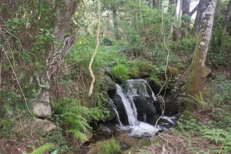 Casa Oliveirinha, Maison de vacances spacieuse à Covas avec parking - Photo 17