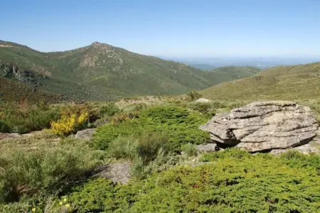 Casa Oliveirinha, Maison de vacances spacieuse à Covas avec parking - Photo 23