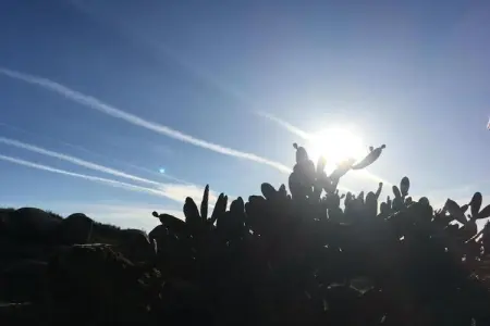 Casa Oliveirinha, Maison de vacances spacieuse à Covas avec parking - Photo 27