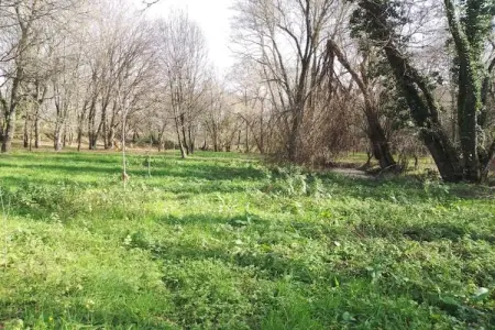 Casa Oliveirinha, Maison de vacances spacieuse à Covas avec parking - Photo 28