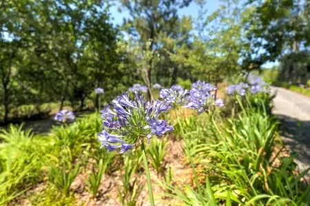 Veerle, Villa haut de gamme, piscine et terrasse privée à Penafiel - Photo 23