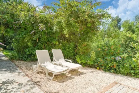 Mira, Villa de charme à Penafiel au Portugal près de la forêt - Photo 5