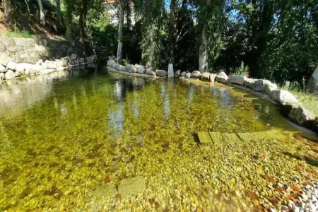 Mira, Villa de charme à Penafiel au Portugal près de la forêt - Photo 22