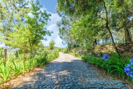 Mira, Villa de charme à Penafiel au Portugal près de la forêt - Photo 29