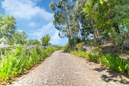 Mira, Villa de charme à Penafiel au Portugal près de la forêt - Photo 30