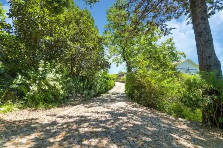 Mira, Villa de charme à Penafiel au Portugal près de la forêt - Photo 31
