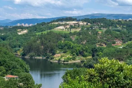 Mira, Villa de charme à Penafiel au Portugal près de la forêt - Photo 36
